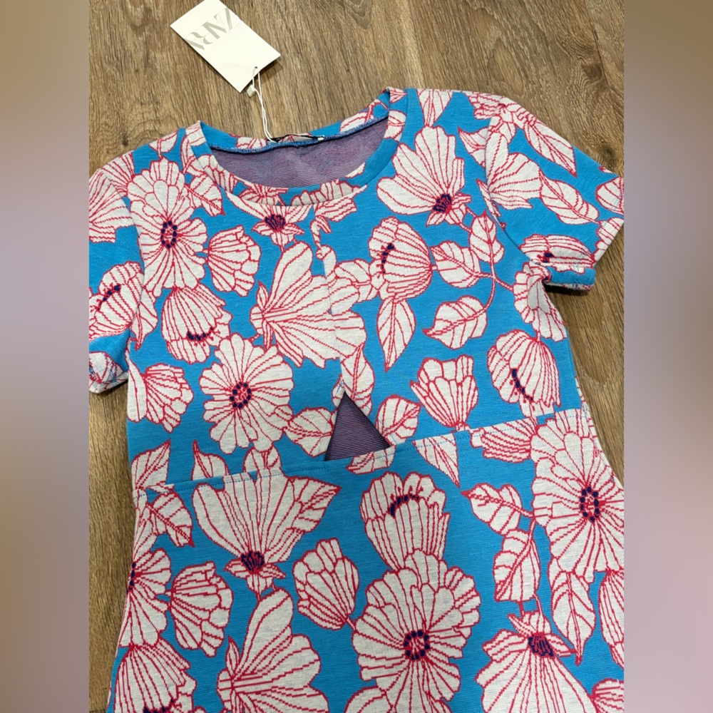 Zara Blue and Pink Floral Midi Dress